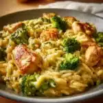 One Pot Cheesy Chicken And Broccoli Orzo 2026 02 12 230901 800x800 1