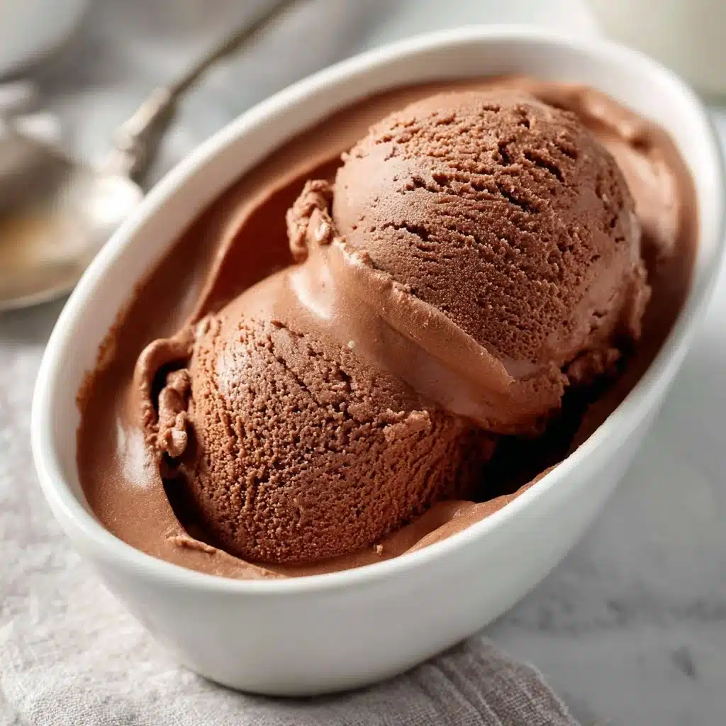 Chocolate Coconut Milk Ice Cream