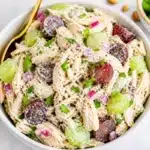 Delicious High Protein Greek Yogurt Chicken Salad 2026 06 09 213328 800x800 1